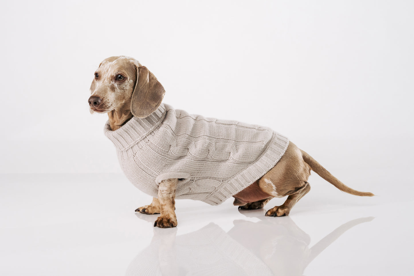 ACCADEMIA - Cashmere Dog Sweater