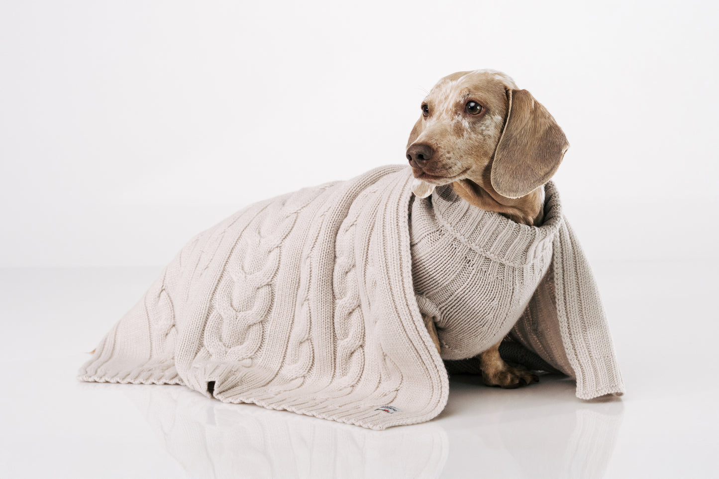 CANAL GRANDE - Cashmere Dog Blanket